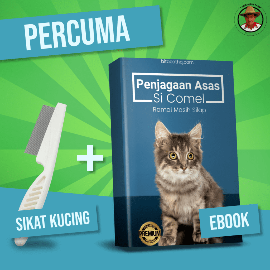 Bitacat HQ u2013 Selamat Datang